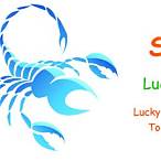 scorpio lucky lottery number today